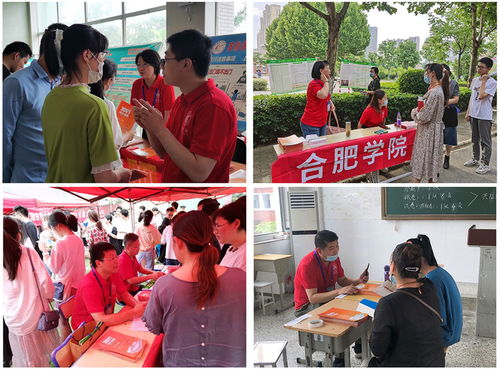 合肥学院线上线下齐聚力 学校全面做好2021年招生宣传工作